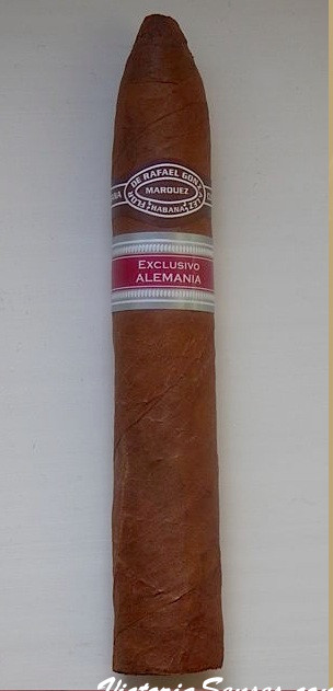 Cigar review Rafael Gonzalez Petit Piramides, favourite marka, ER vitola Rafael Gonzalez Petit Piramides
