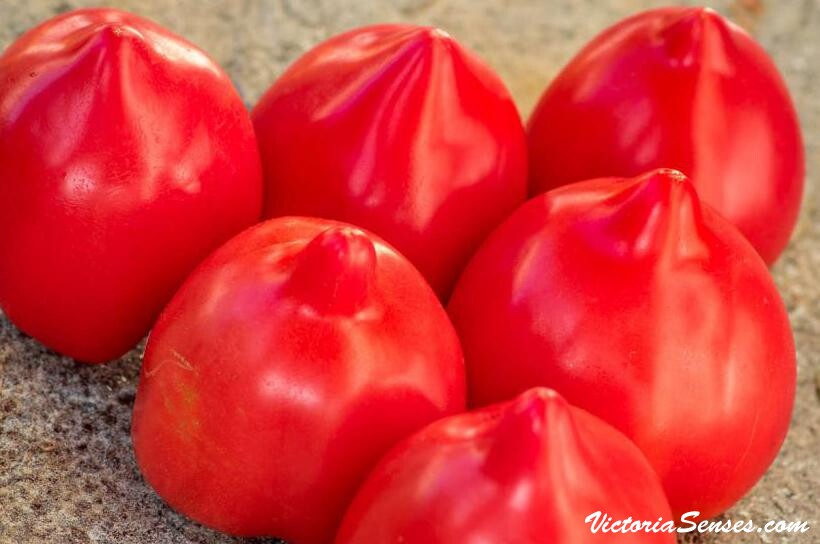 помидоры как чистить, салаты из помидоров, томаты, как хранить помидоры, хранить томаты, закуска