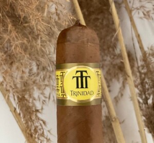 cigar review Trinidad Vigia. Рейтинг Trinidad Vigia сигары